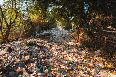 Axiology Going 100% Plastic-Free for Earth Day / Image: Road of plastic waste